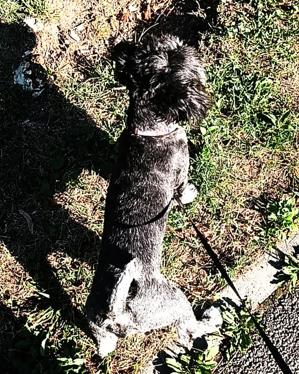 93bd379d-12c6-4cfc-8f05-3290154a9090