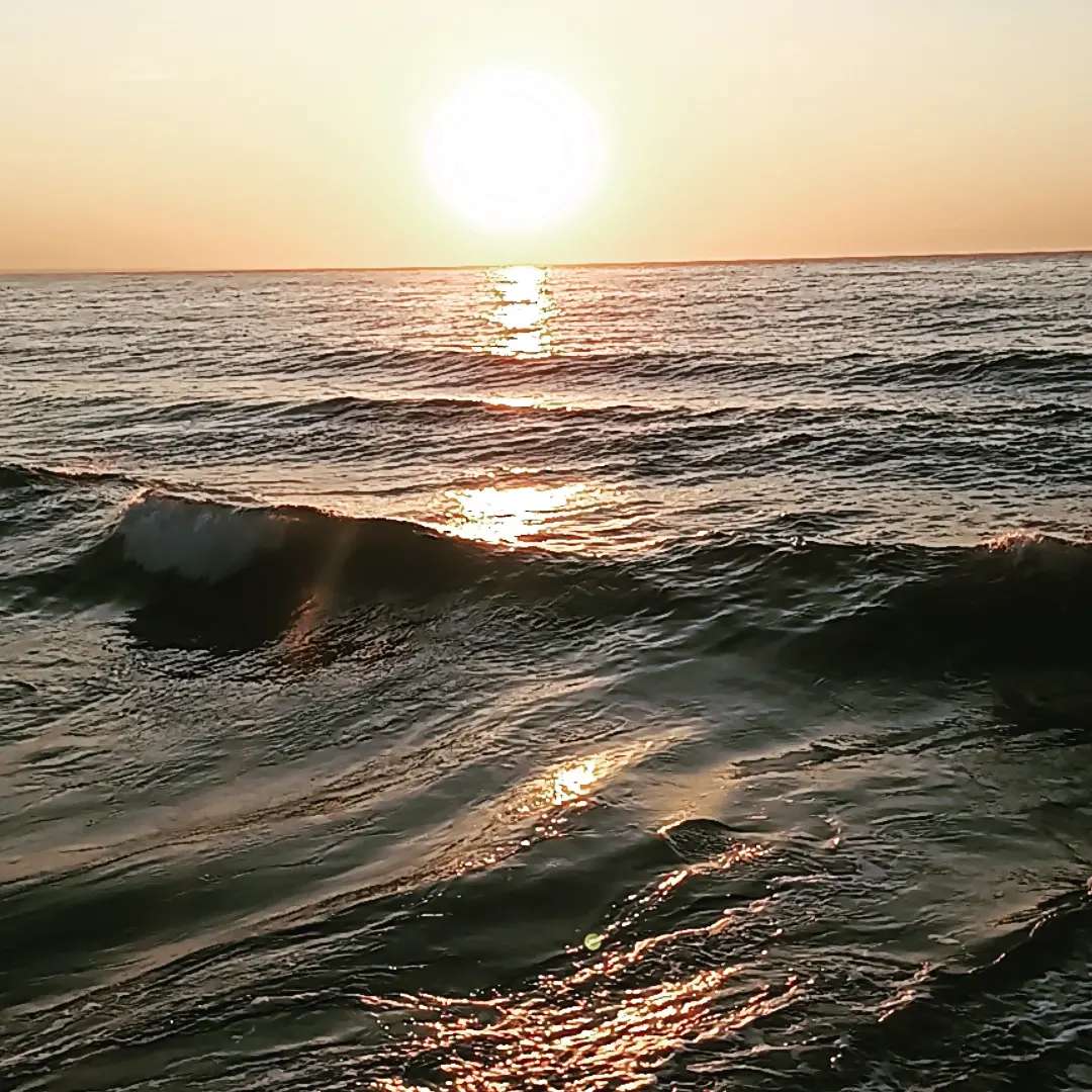 5d851cfd-f9ab-4a32-9fc3-5e50b9fc9b1c