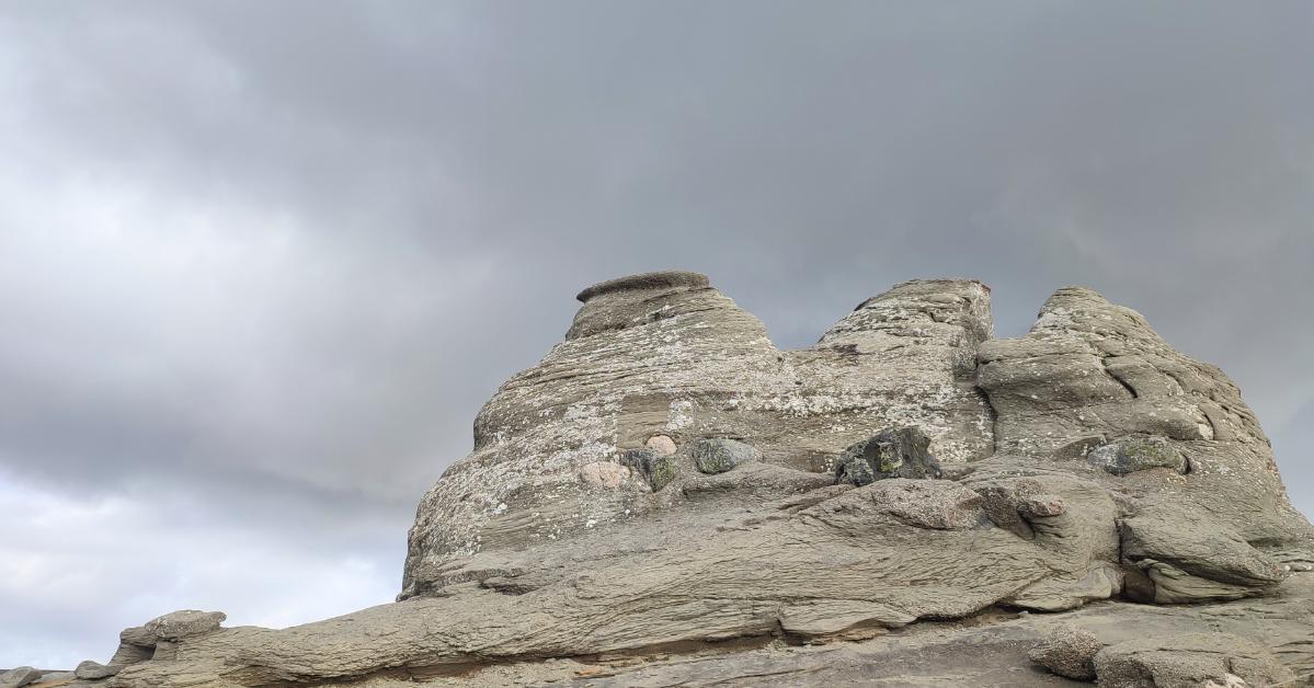 65275283-632f-47ec-831d-77bf006a73fd