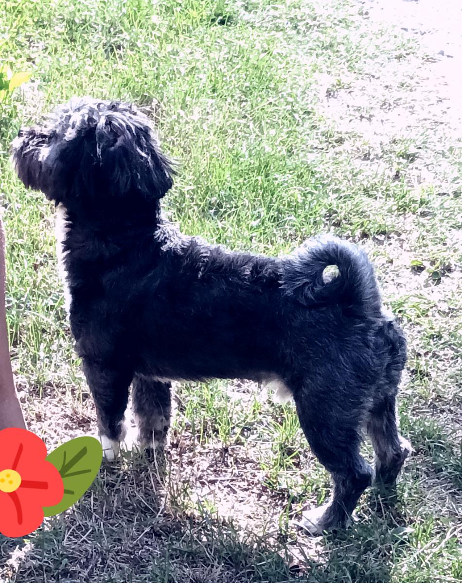 bcff1cd3-4c88-445d-90e4-eade0cdcd45d