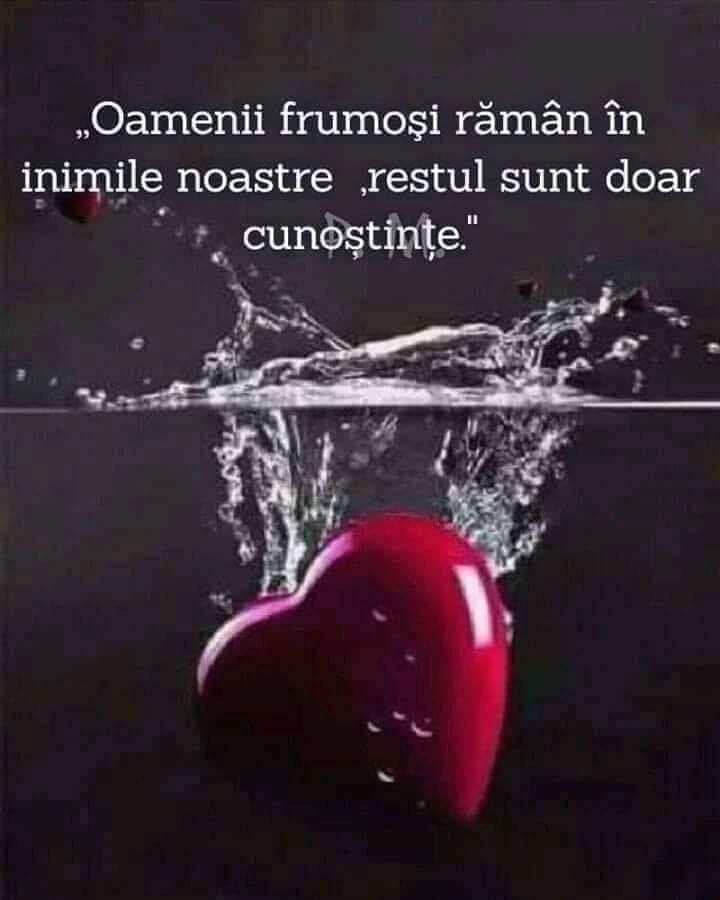 d052fda3-412f-4c29-a161-5e4aef20c454