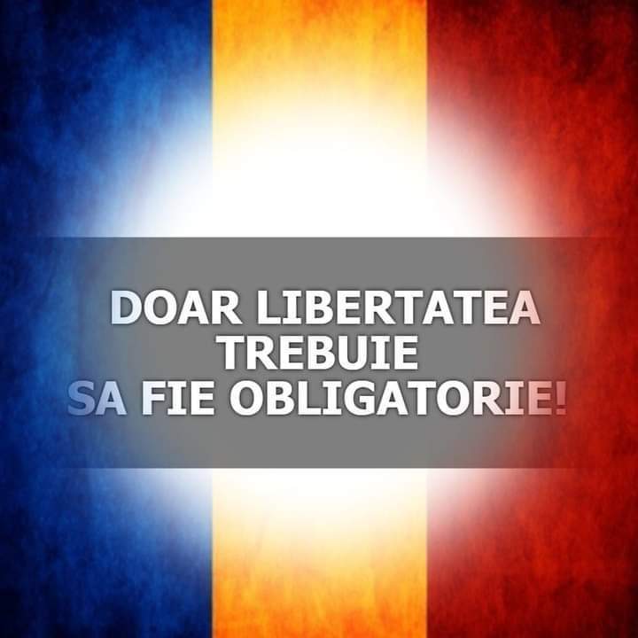 FB_IMG_1664293851352