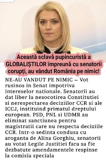 207e0f84-b462-4350-8439-9a9a1935068a