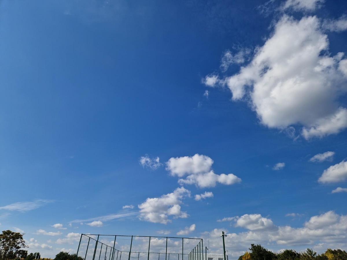 852dbc36-2efe-4c01-a0f7-5698ae6921de