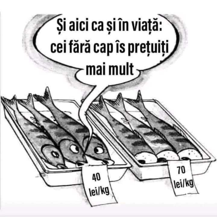 d141b4fa-6d3b-4bdc-b9b9-8ba75c6332d7