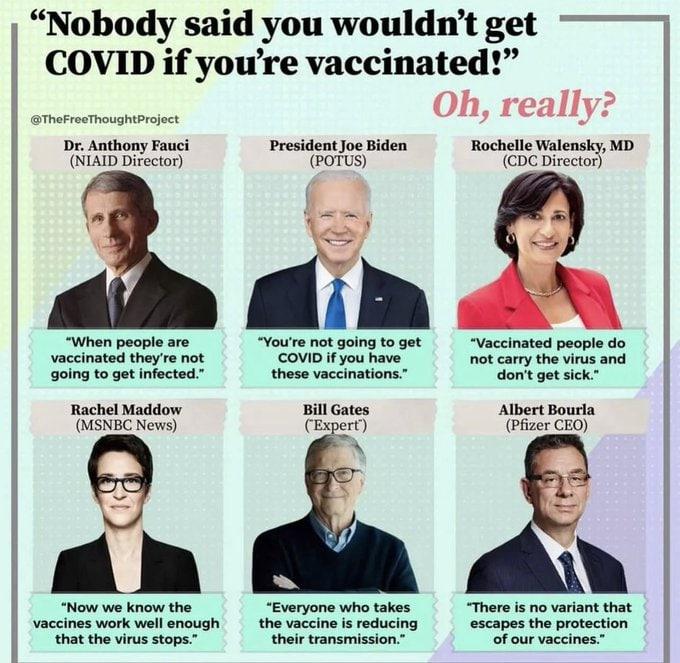 6d440d76-e933-44cc-b41b-27dc30fc24e0