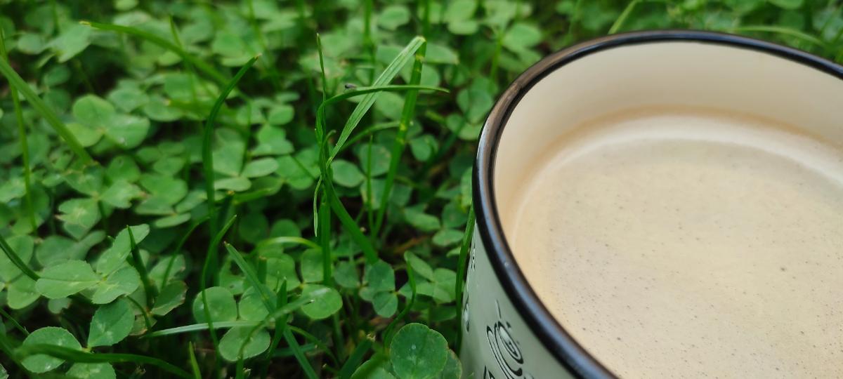 c30a04f7-1b2e-4295-a159-c29e4721d5b5