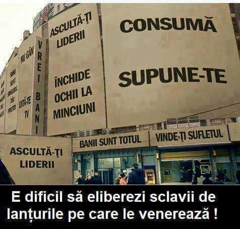 6d803801-c3da-4bed-bd05-2dc68c58dd4a