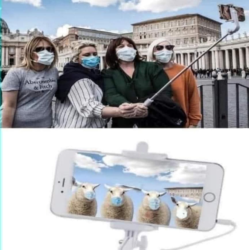 e87a5492-77d2-47d2-b69f-9e73894ec086