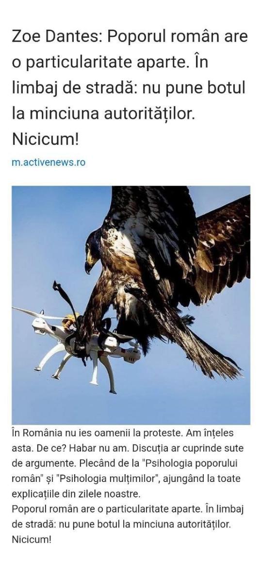 407de9c1-afc4-4a34-9091-280e971fe809