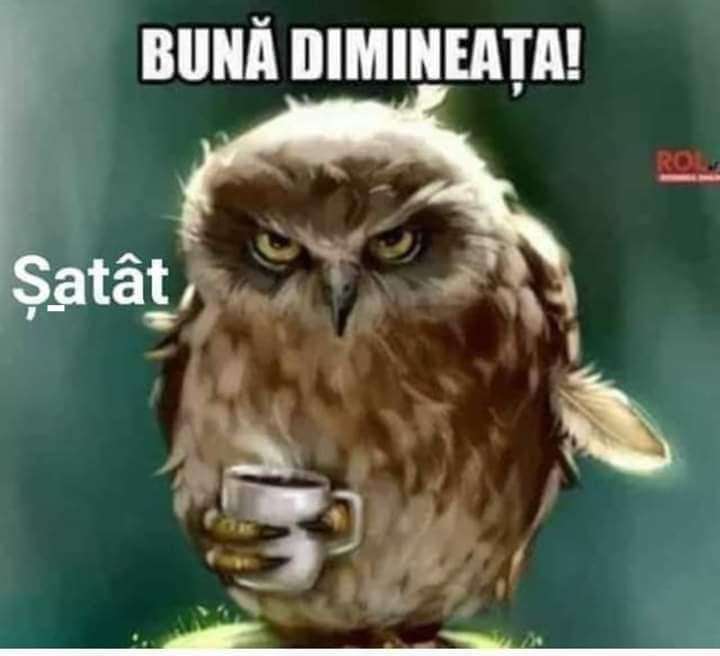 b7f217f8-6576-40ad-b8d7-ebce806c8d9c