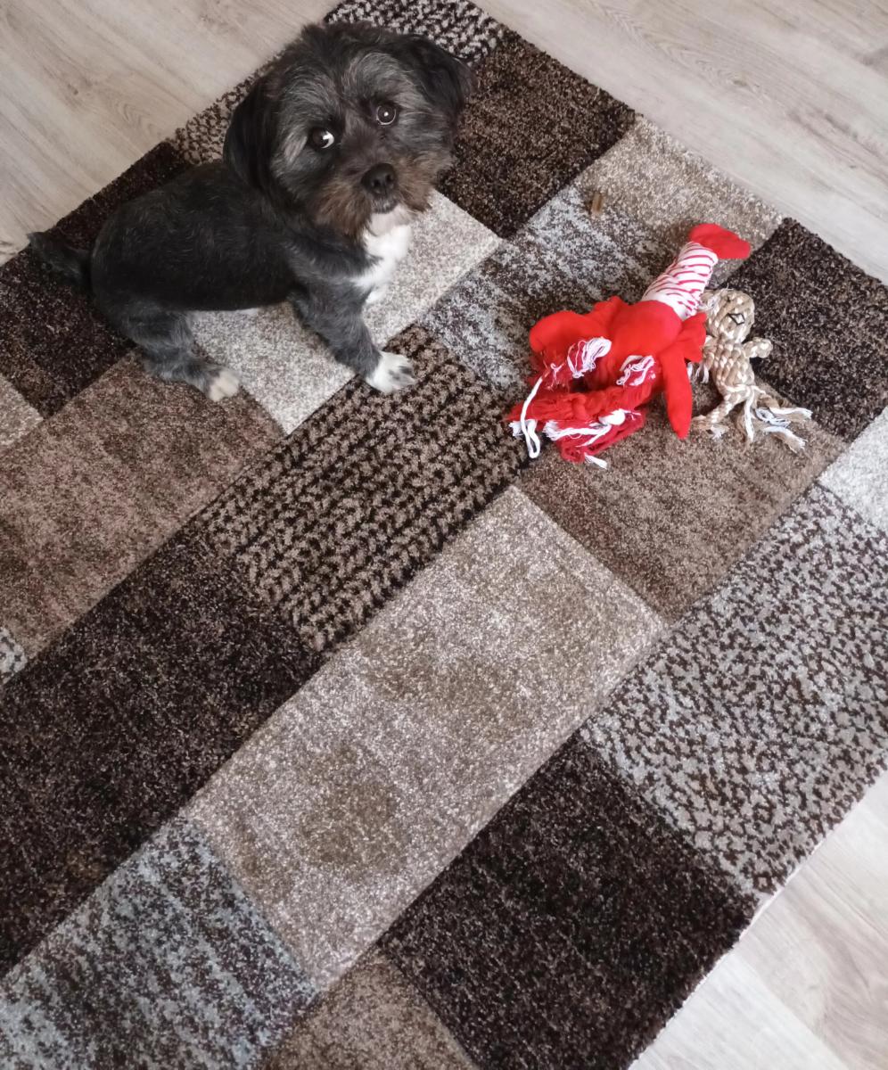 185231a4-4848-43bb-8c34-308e602b9d49