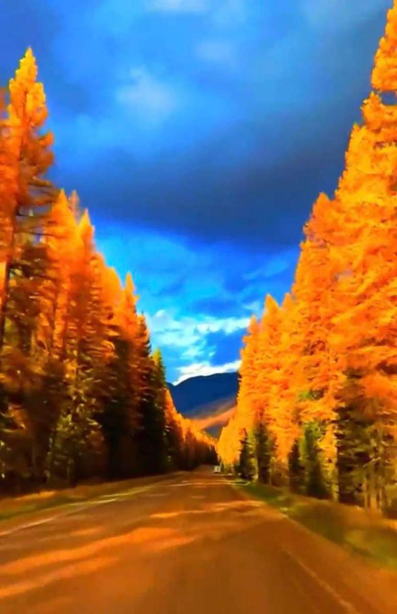 ef48eac9-fa57-4491-b709-10b50a2d9a3b