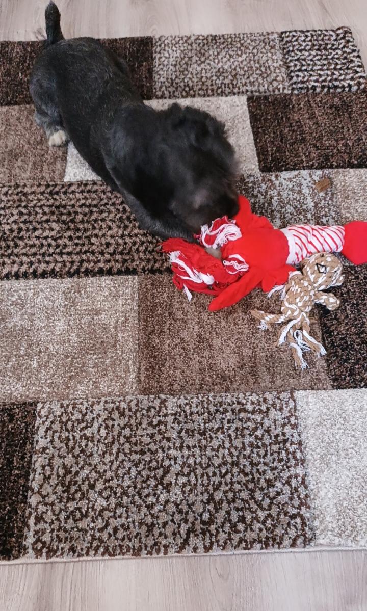 66b01043-9a42-4163-b292-20147909de0e