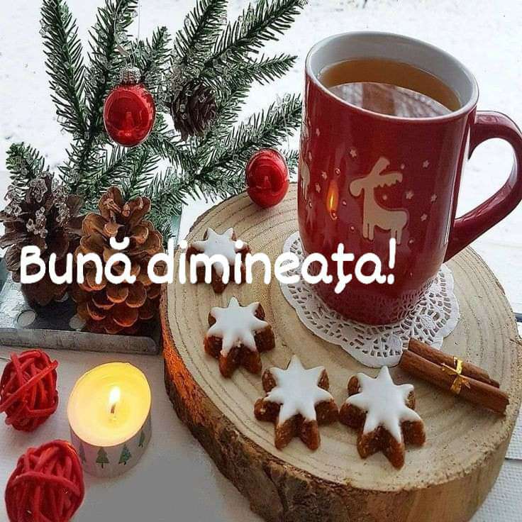 d125664e-584b-4069-92f0-c549dc51f164