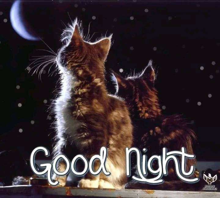 709ad1e9-5f24-45db-8106-05260e186045