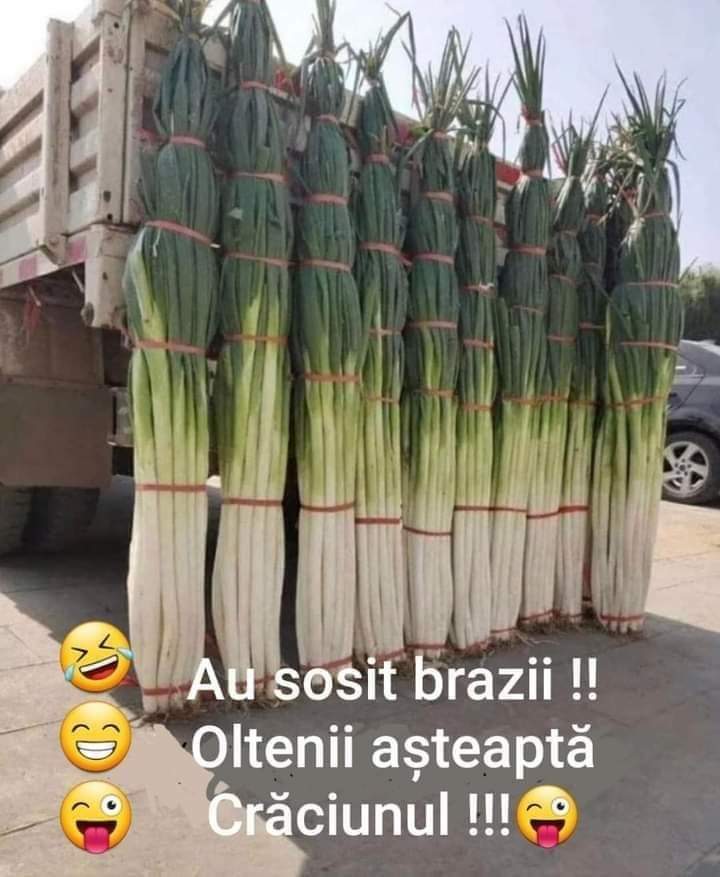 905dba05-a6cd-47b1-849c-450496a9d4d0