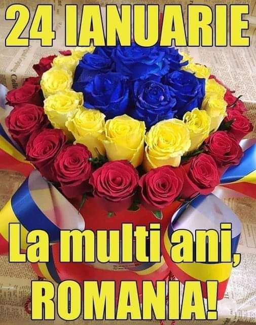 1e6a7193-16f3-42cc-ac63-4771cdc380c7