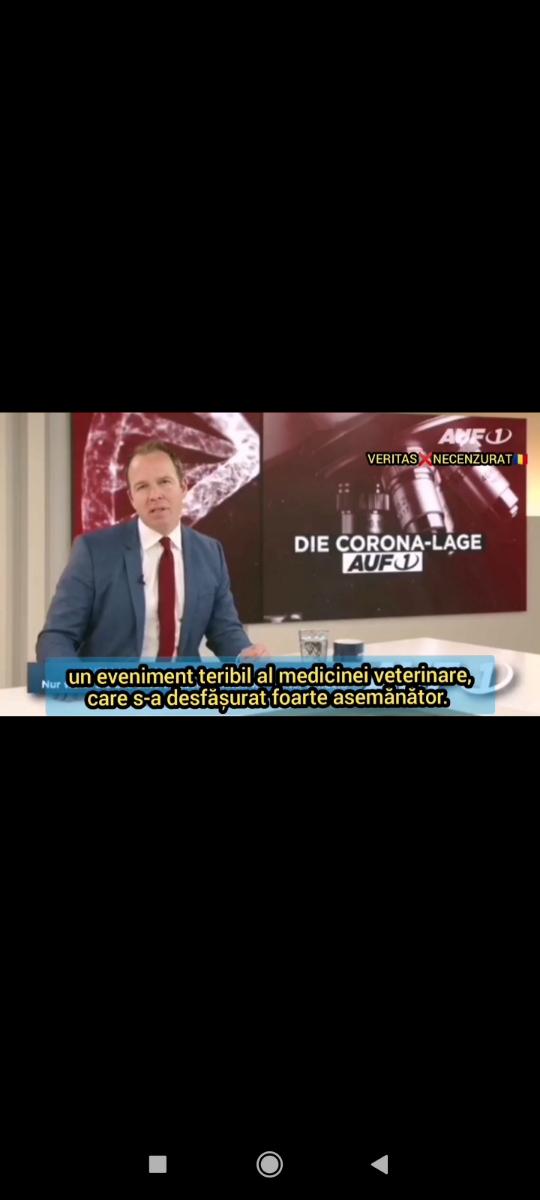 Fotografie