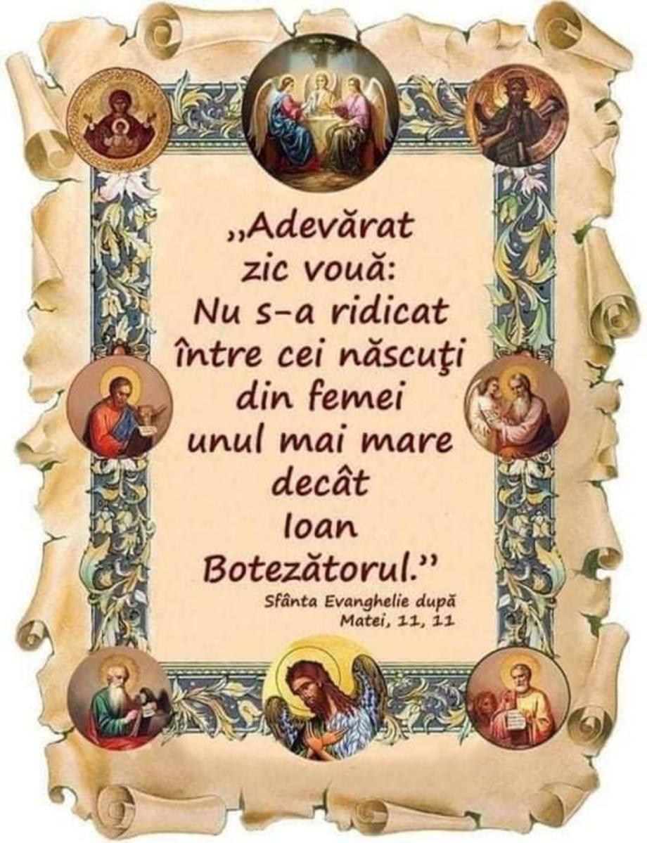 cc6dead5-b419-4c44-8950-ed0b3353173a