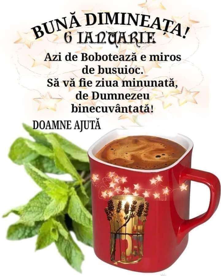 12a82e48-0398-4a4b-9472-ecc8ef426d96