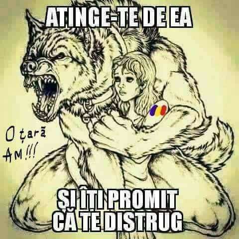 8686f09f-de03-4fba-8817-8392f9baf5ec