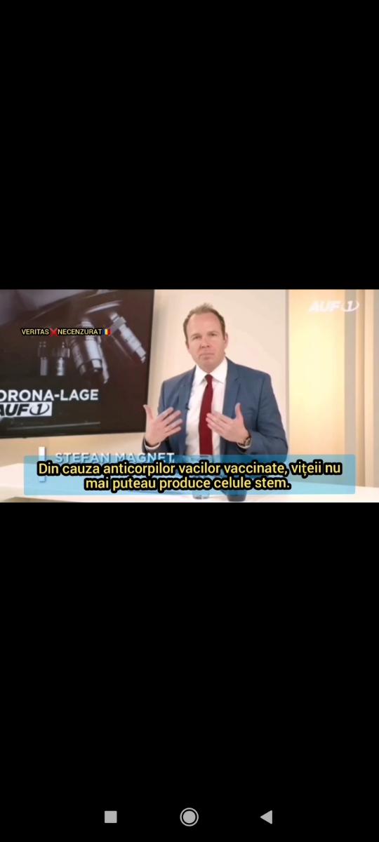 Fotografie