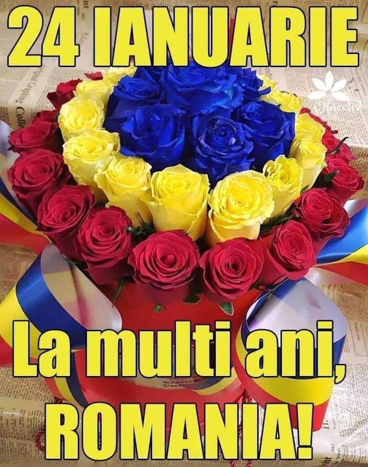 c7e85e11-6870-468d-99f4-1e31537d8cc3