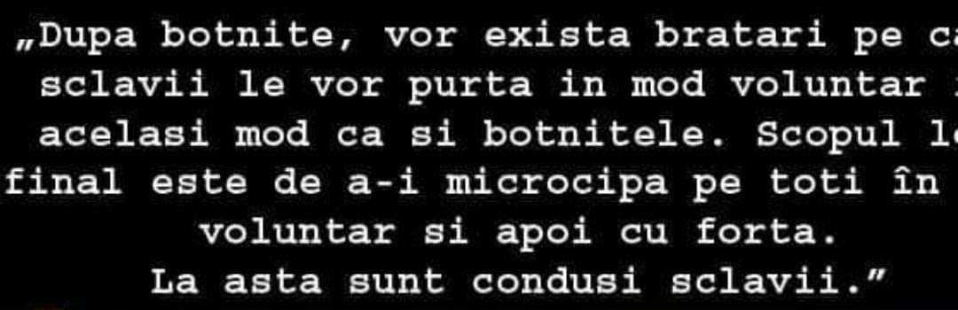 00b2afb6-6b6d-4728-8af5-679baa277648