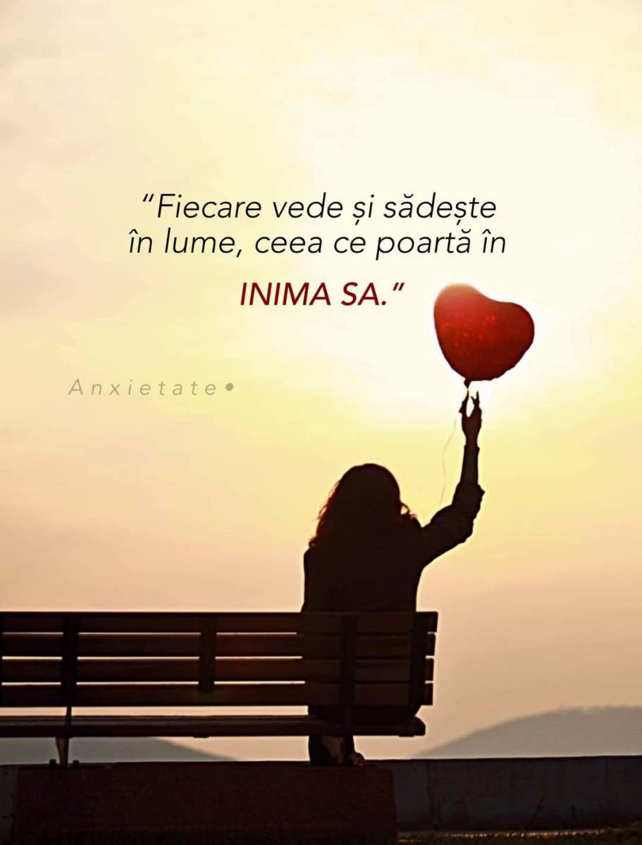 724a5e9c-0dc1-4f59-84f1-49653ad35b04