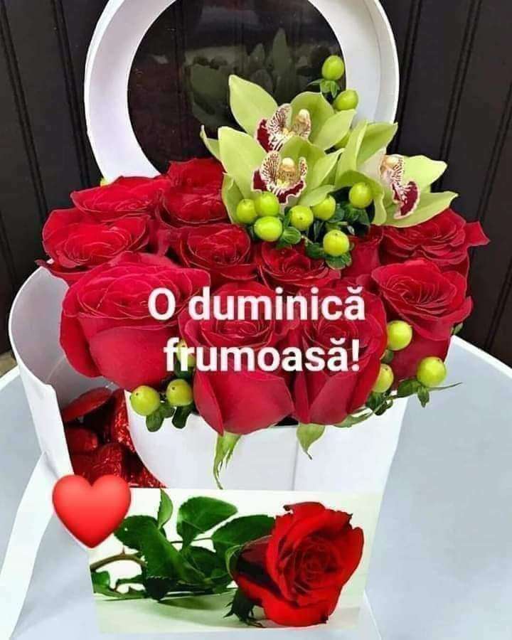 3639abfc-2467-4207-b6a1-a612917b1df3