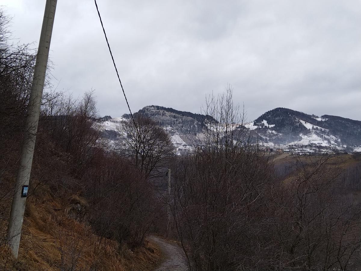 spre pestera cu lilieci