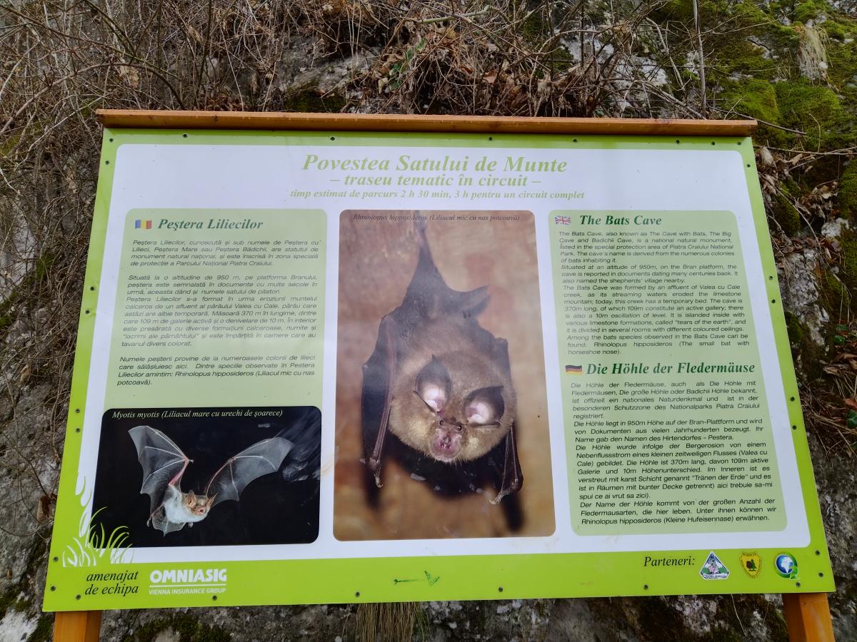 afis pestera liliecilor