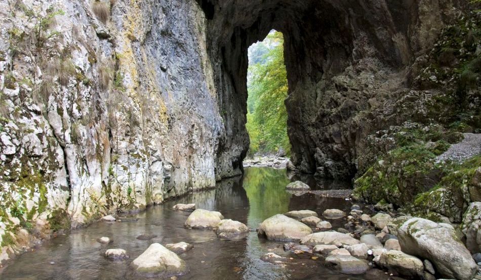 11-chei-ramet-cover-2