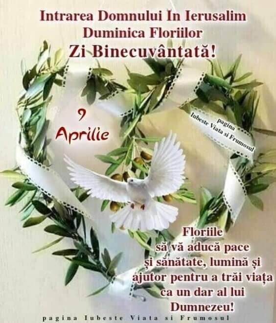 faa2124e-3059-4aac-abbb-cb38c5fc9739