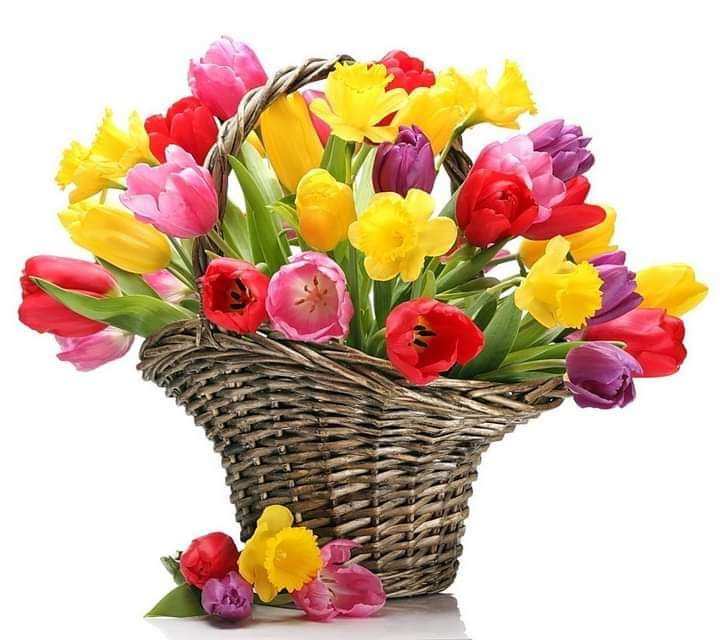 009fecf5-cf78-489c-ac8a-f63266d8a6ca