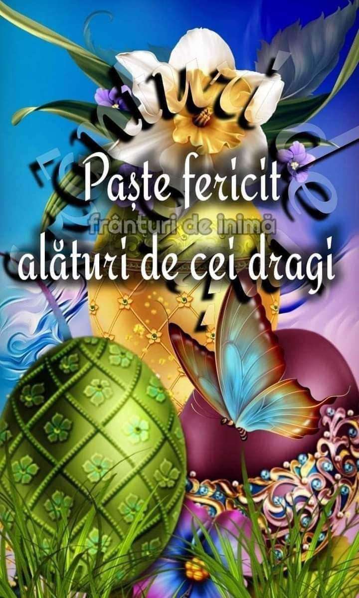 08b91ca0-58c8-4bf5-a8c1-61745f505f79