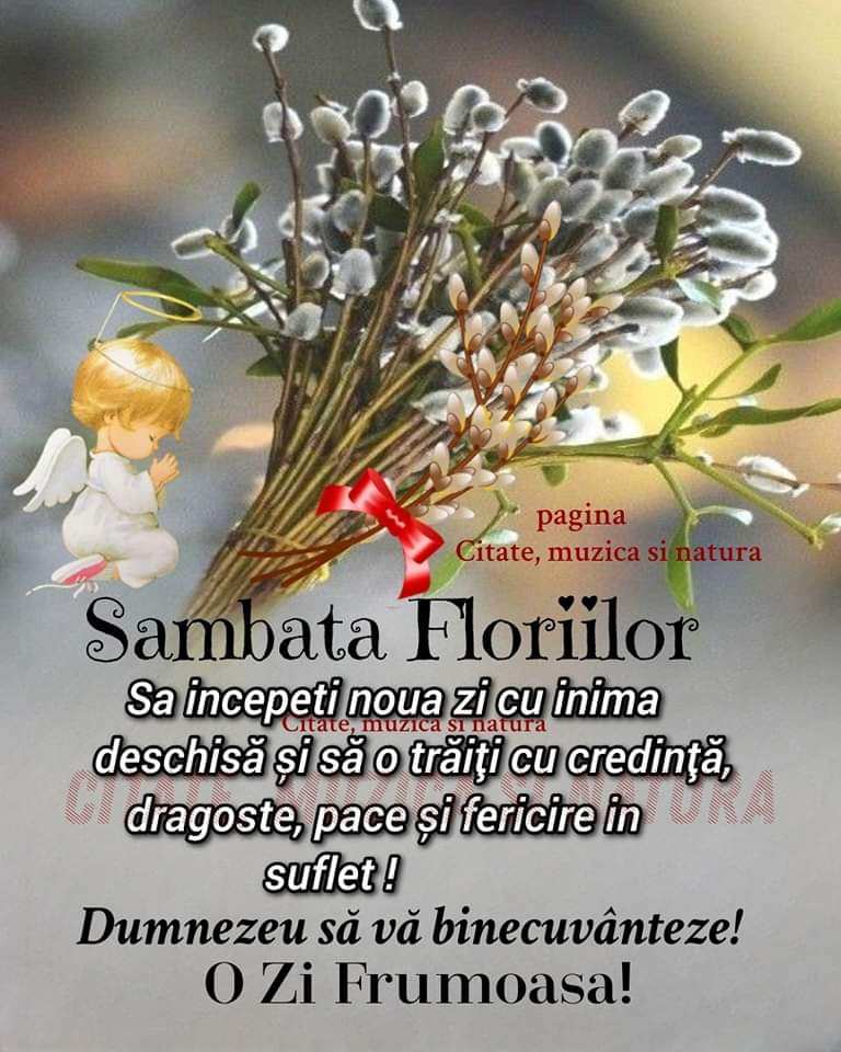 0352b87f-e465-4b9a-8006-caf239245ce1