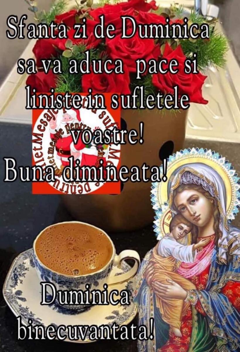 cbb07b92-9ccc-4ebc-acdf-e8cb831de8eb