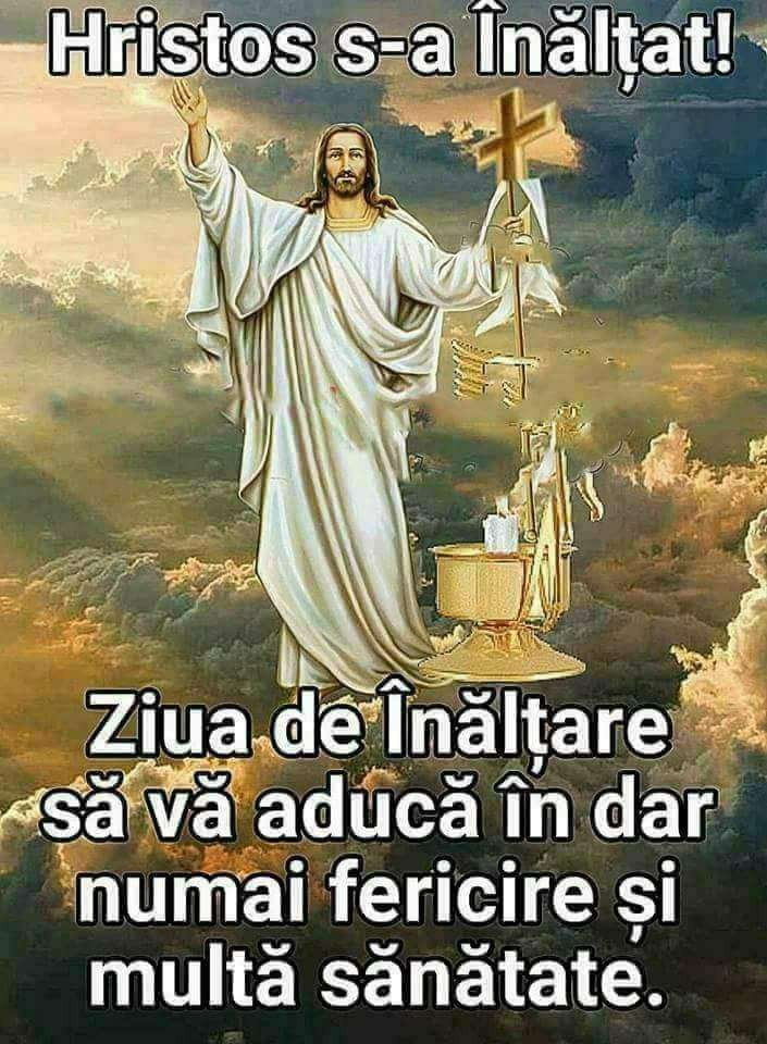 e6b48015-c88e-476e-b418-d9a2e9efb4da