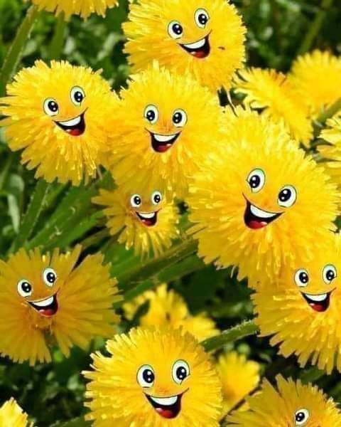 5feb63c3-e9cc-44af-867d-b4370a0b33ce