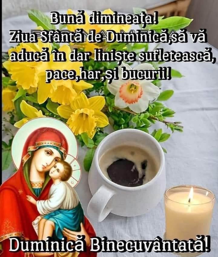 56a491af-3d71-4cd2-89e0-c143dd86f919