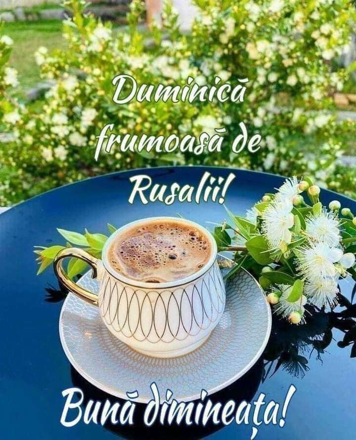 3a8b82e2-1ec5-4a9f-a95c-16359037a629