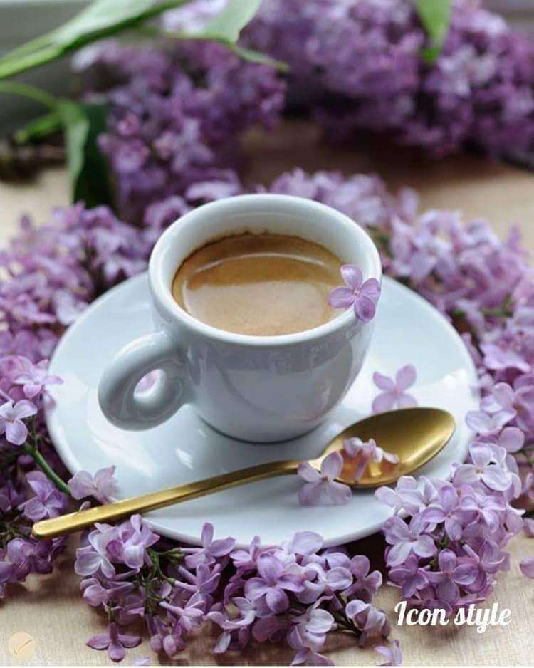 85622c0f-35f5-431a-9fbb-9cb4b0585c01