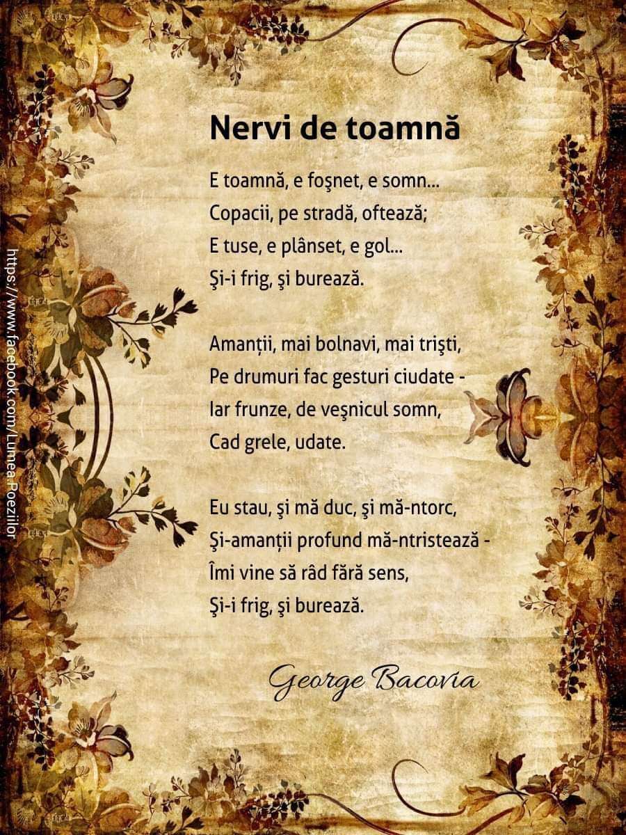 4f1e1cc7-04d3-41d9-b2ad-8db25cac57b4