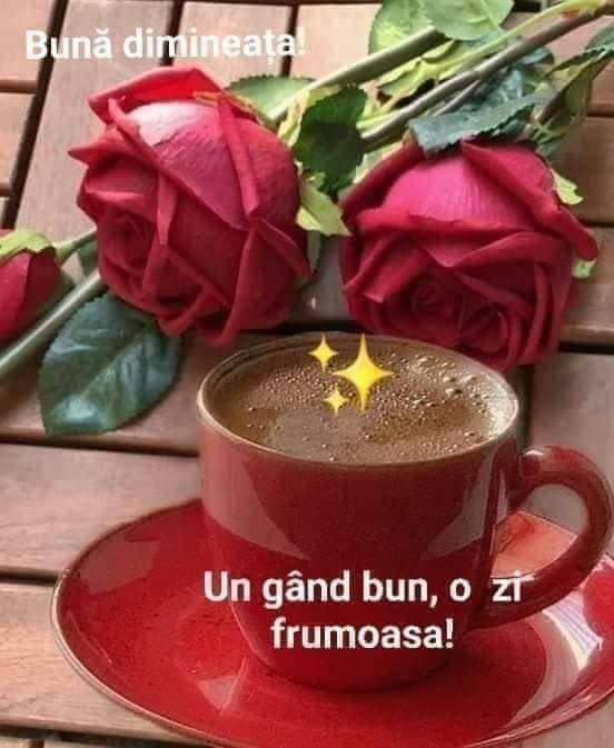 c778799e-885d-4501-9f04-36d18d068679