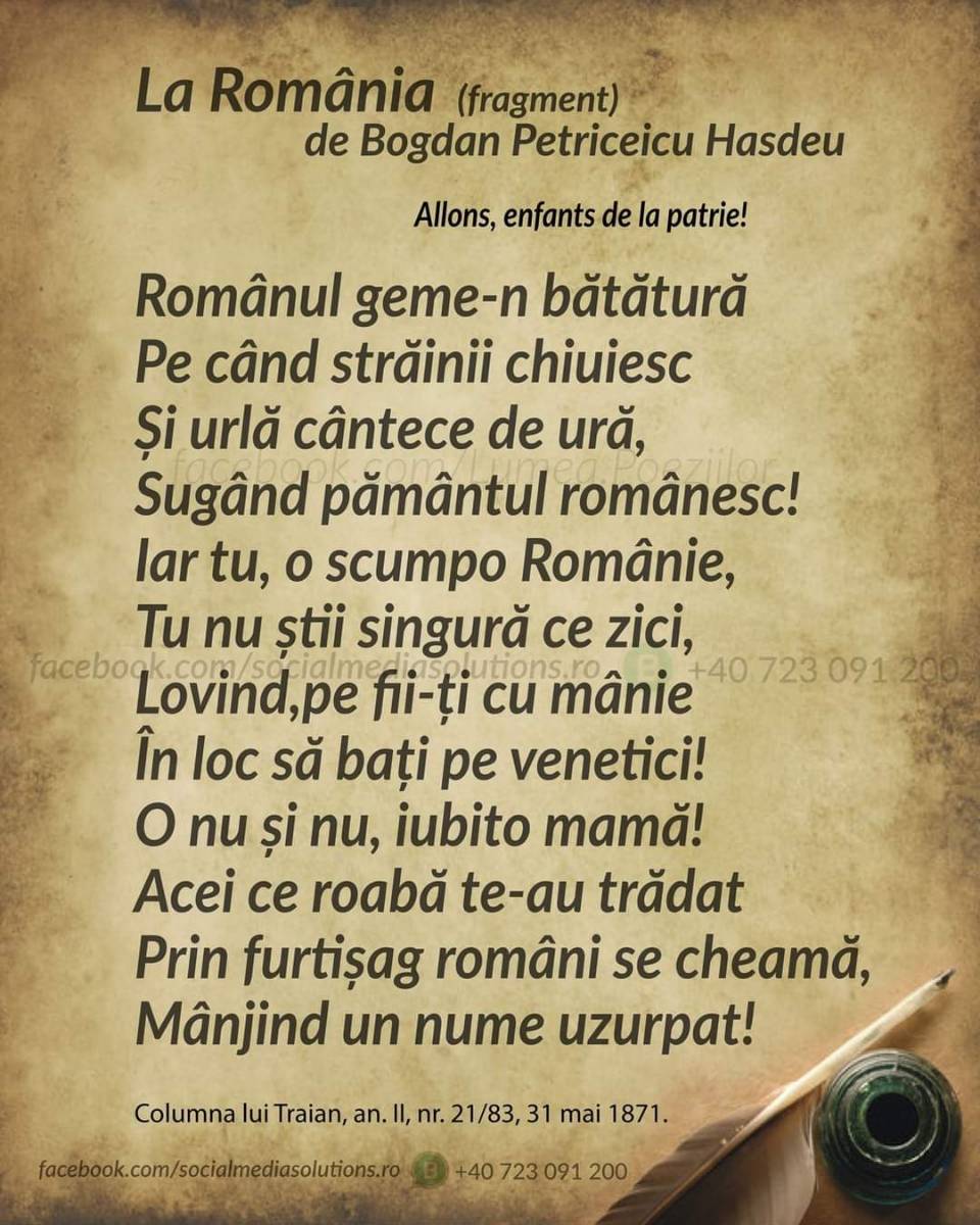 956ef15d-31b9-408d-a4f6-9b6344828cd4