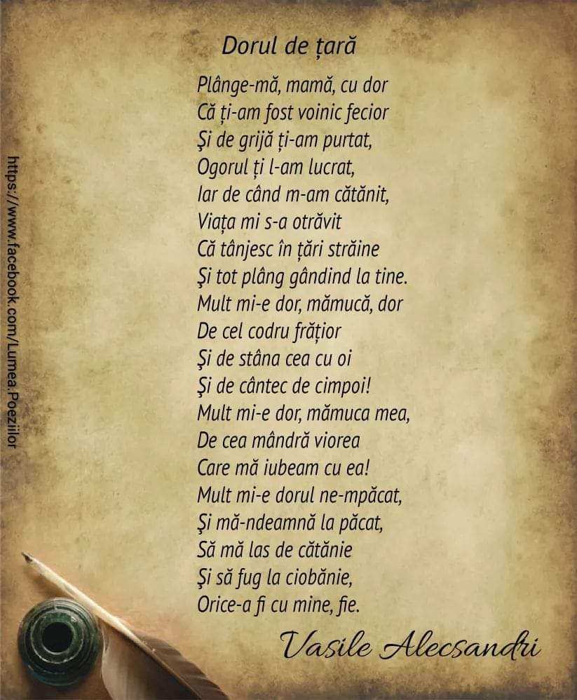 f93c19fc-aa40-4cd2-9b54-8e657868e9c6