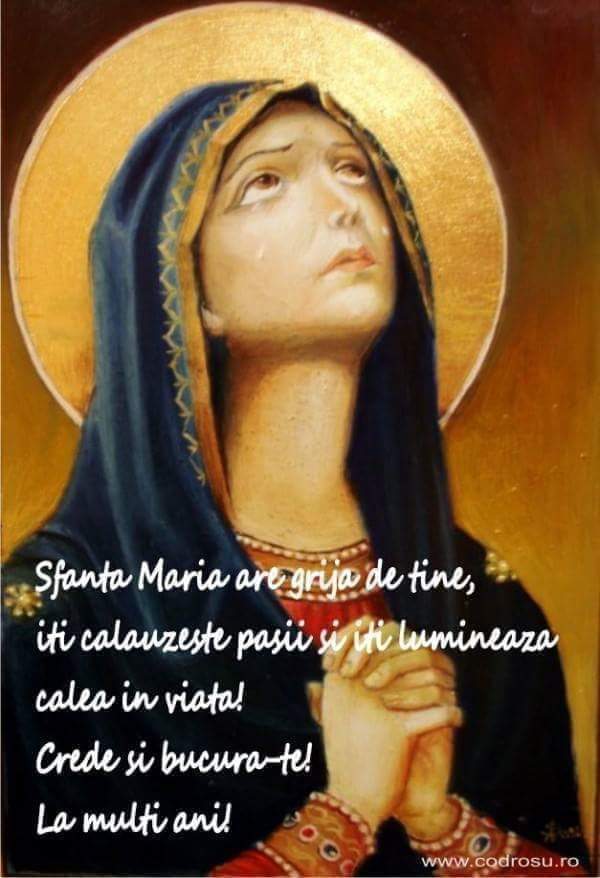 992df287-c397-42ad-a3bc-8e5162243165