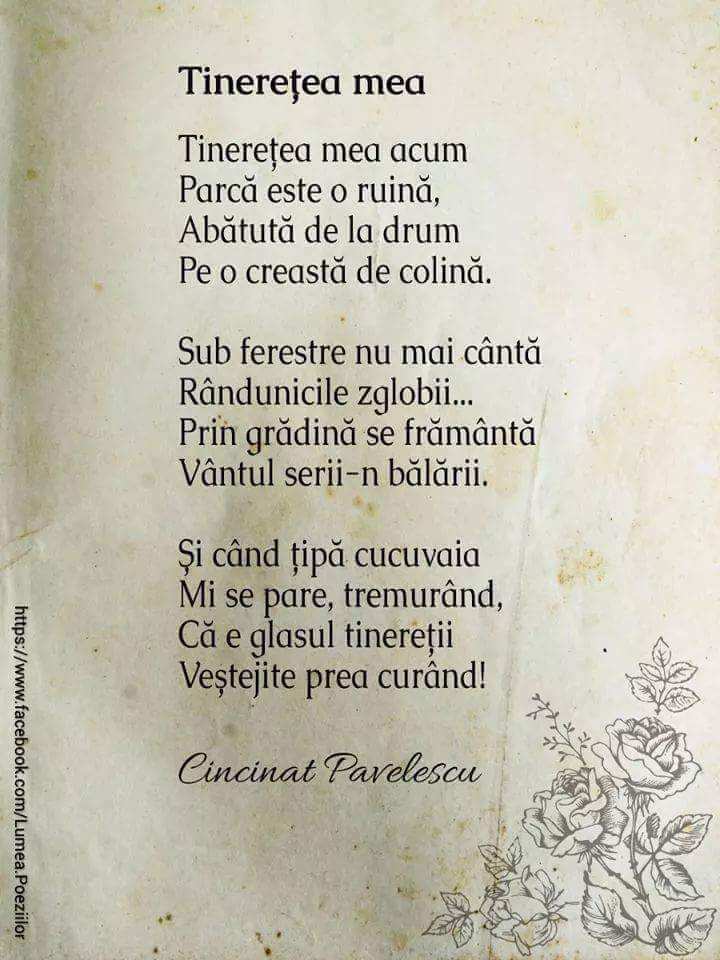 5d5304bd-b14e-4768-a12d-2bcb84b47d75